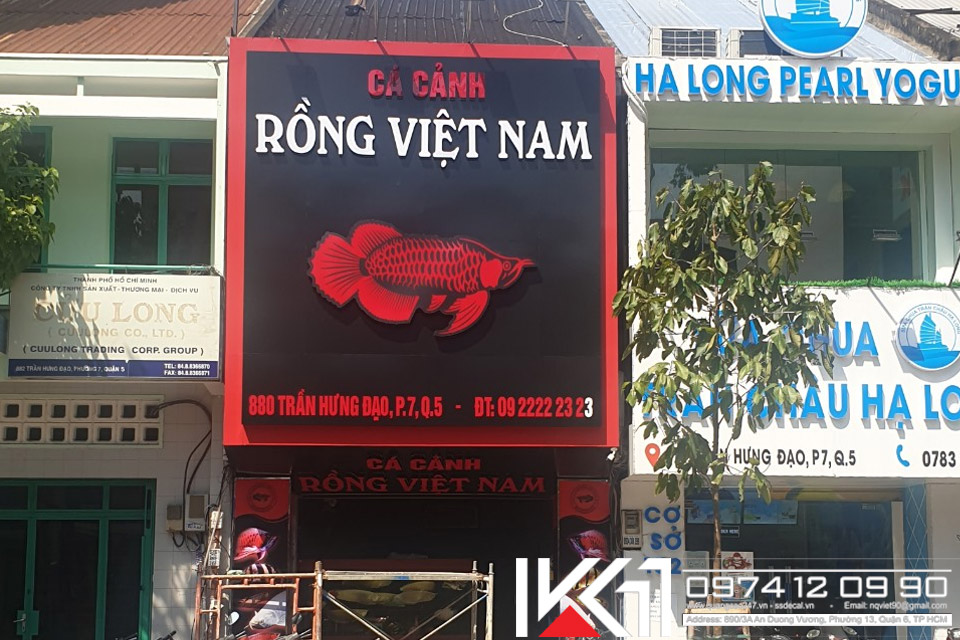 Mat Dung Alu Chu Noi Ca Canh Rong Viet Nam