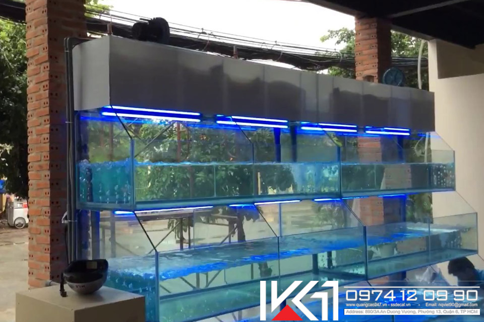 Thi công bể hải sản quán ăn giá rẻ tại HCM Thi công bể hải sản quán ăn giá rẻ tại HCM